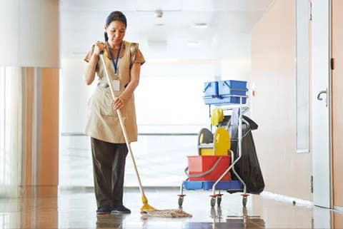 Cleaners and Housekeepers